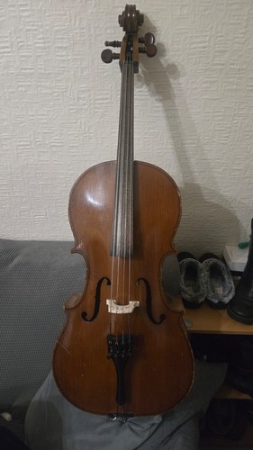 Größe studenten cello - studenten,