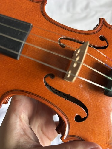Primavera violine für - primavera,